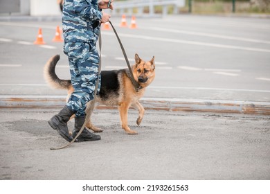 A Police Officer With A Service Dog