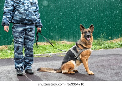 A Police Officer With A Service Dog