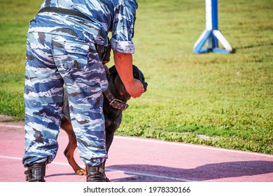 A Police Officer Training A Sniff Dog For Finding Drugs, Weapons, Explosives.