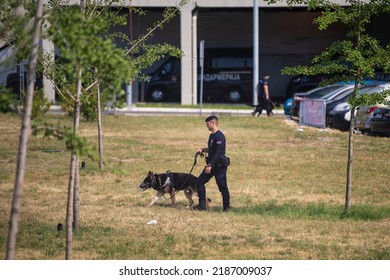 Police Officer In Uniform And German Shepherd Working Police Dog Sniffing And Investigating The Terrain For Drugs, Narcotics And Explosive Devices. Belgrade, Serbia 21.05.2022