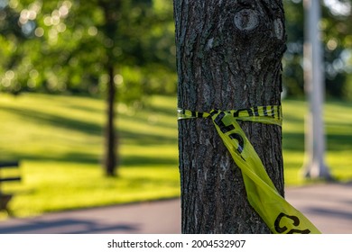 Police Tape On A Tree In The Park