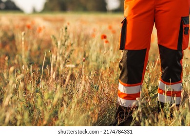 Polish Ambulance Worker Standing In Medical Orange Uniform With Reflective Elements. Poppy Field Background.