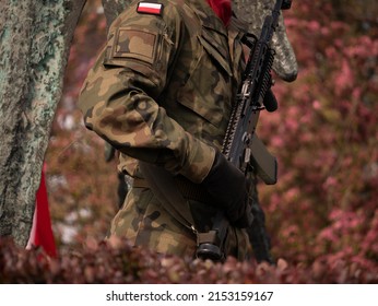 Polish Army Soldier Standing At Attention, Holding A Military Rifle Gun.