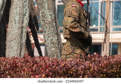 Polish Army Soldier Standing At Attention, Holding A Military Rifle Gun.