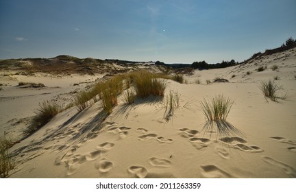 Polish dunes in Leba and Czolpino