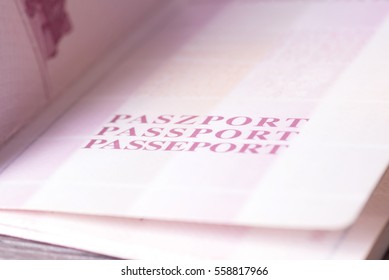 A Polish Passport