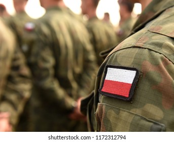 13,493 Polish soldiers Images, Stock Photos & Vectors | Shutterstock