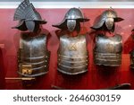 Polish Winged Hussar Armor on Display in Museum Exhibition