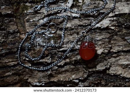 Polished carnelian on silvery chain.Scarlet mineral on crannied mossed wood bark.A closeup of necklace on grayish wooden textured background.Jewelry, accessory.