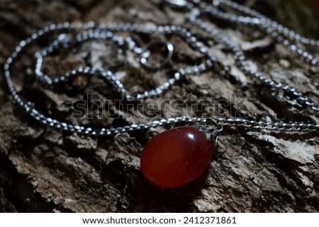 Polished carnelian on silvery chain.Scarlet mineral on crannied mossed wood bark.A closeup of necklace on grayish wooden textured background.Macro shot jewelry, accessory.