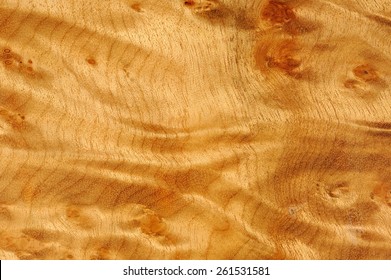 Polished Madrone Root Wood Texture