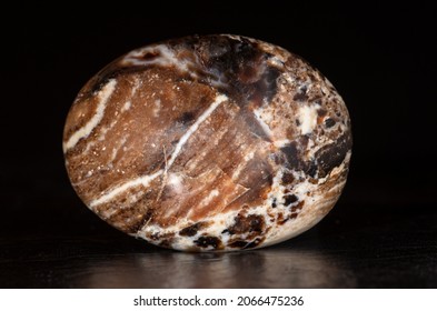 polished palm stone of petrified wood; isolated on black