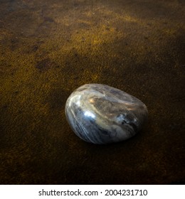 Polished Stromatolite On White Background