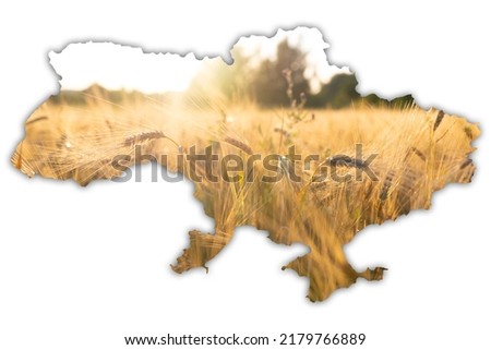 Political map of Ukraine laid out with grain of wheat on the background of the Ukrainian flag. Politics and war in Ukraine 2022. Theme of the problem of export of wheat from Ukraine. Close-up