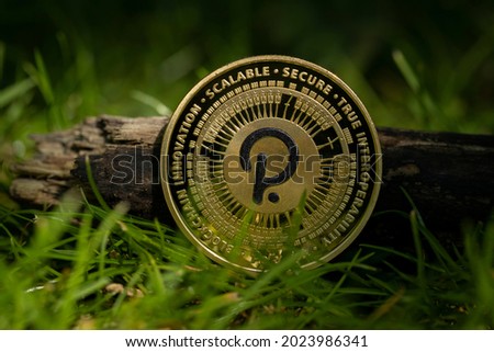 Polkadot DOT cryptocurrency physical coin place on the grass next to wooden stick.