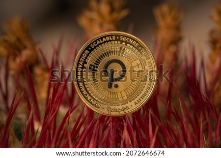 Polkadot DOT Cryptocurrency Physical Coin Placed on Red Cactus Spikes