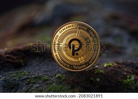 Polkadot DOT Cryptocurrency Physical Coin Placed on the ground with moss