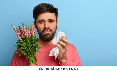 Pollen allergy symptoms concept. Puzzled unshaven man has terrible allergy, holds plant and paper tissue, has watery eyes, looks sadly at camera, poses over blue wall, blank space. Seasonal rhinits