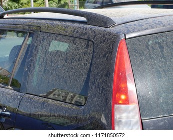 Pollen And Fine Dust On A Car In The Spring.