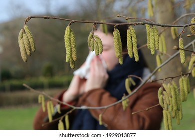 Pollen of flowering hazel trees can cause allergic rhinitis in early spring, close up of catkins in foreground, girl with handkerchief in background