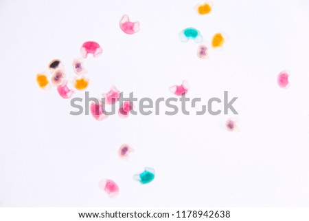 Pollen grain under light microscope for education