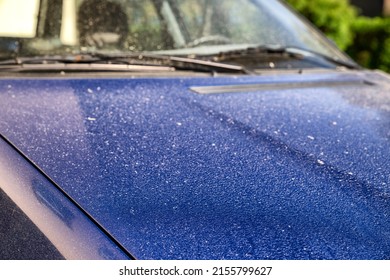 Pollen On The Car Body. Allergy Season