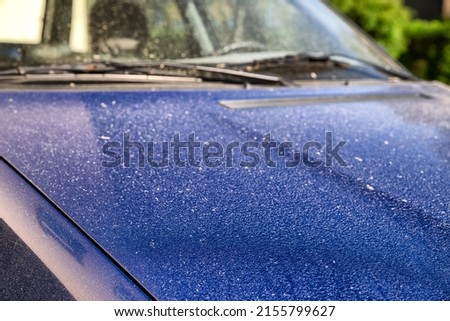 Pollen on the car body. Allergy season