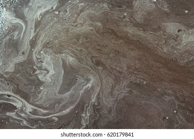 Pollen on Puddle Patterns
