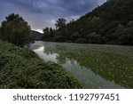 a polluted river flowing between trees and bushes under dark clouds at sunset in autumn