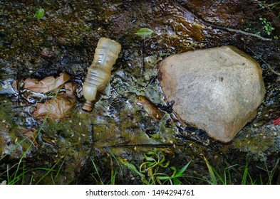 Polluted Water Stream Creek Brook Riverbed With Plastic Bottle Bag Garbage Trash.  Example Of Waterway Pollution With Weeds Grass Oil Slick.