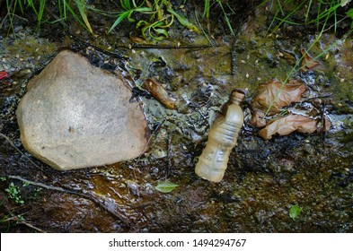 Polluted Water Stream Creek Brook Riverbed With Plastic Bottle Bag Garbage Trash.  Example Of Waterway Pollution With Weeds Grass Oil Slick.