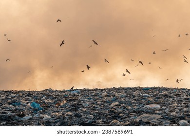 Pollution concept, Burning garbage pile in trash dump or landfill
