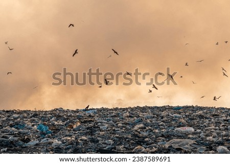 Pollution concept, Burning garbage pile in trash dump or landfill