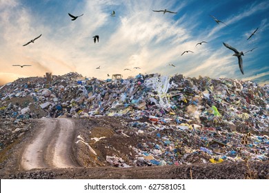 Pollution Concept. Garbage Pile In Trash Dump Or Landfill. Birds Flying Around.