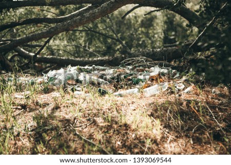 Pollution of the environment. Garbage pile in the forest. Waste or debris on the ground. Pollution of nature.