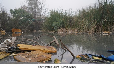 Pollution In Wetland,In Gurgaon, India, 17 January 2021