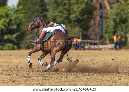 Polo Cross Player horse pony rider unrecognizable scoops ball with racket off the ground action play a equestrian game.