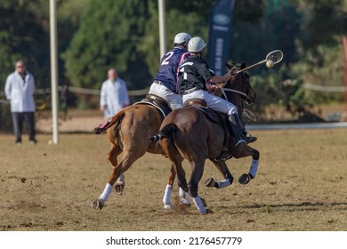 Polo Cross Players men unrecognizable riders riding horse pony's game action  play  challenge for ball at equestrian championship game.