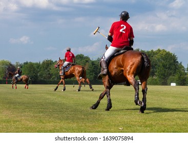 Polo game with  three horses