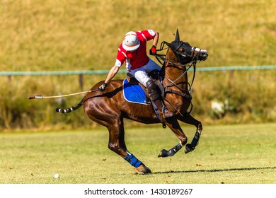 Polo Horse Rider closeup unidentified striking mallet to ball game action.