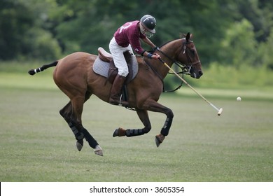 polo player after hitting ball