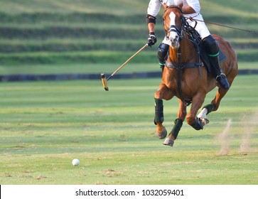 The Polo Player Is Riding On A Horse.