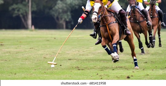 The polo player is riding on a horse to grab a ball. 