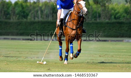 Polo player is using polo mallet hit polo balls during the match.