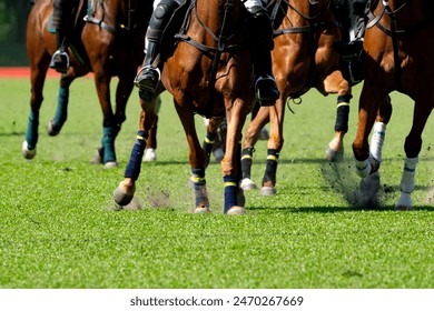 Polo players riding horses on the field,The polo pony running in match. - Powered by Shutterstock