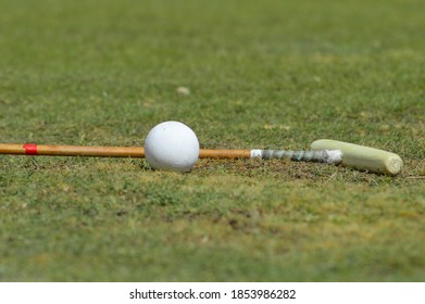 Polo Stick & Ball On The Ground