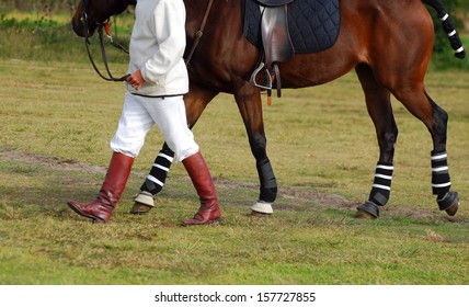 A Polocrosse player walking onto the field with his horse before the game.