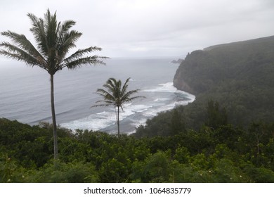 Polulu Black Sand Beach, North Kohala, Big Island, Hawaii