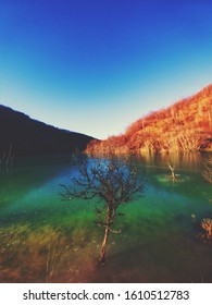 Polution At The Geamana Lake In Alba