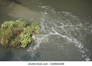 Polution On Lake. Dirty Water 